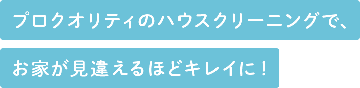 毎日忙しいあなたに代わって、プロがお掃除します